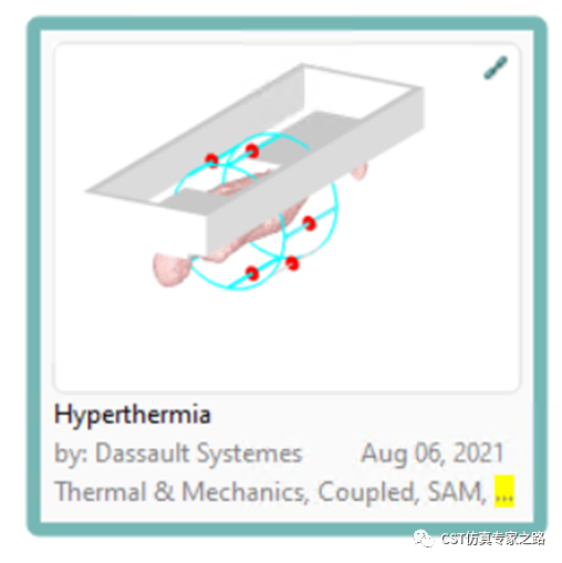 CST仿真實(shí)例：熱療Hyperthermia -生物模型，血液對(duì)